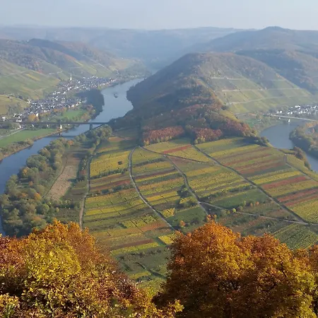 Weinhaus Berg 호텔