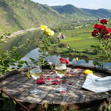 Weinhaus Berg 호텔 3*