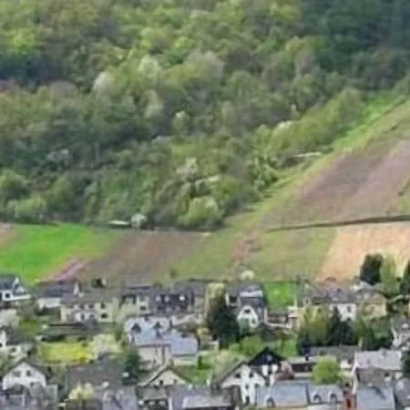 Otel Weinhaus Berg 3*