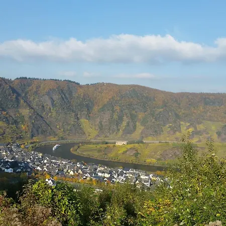 Weinhaus Berg 호텔