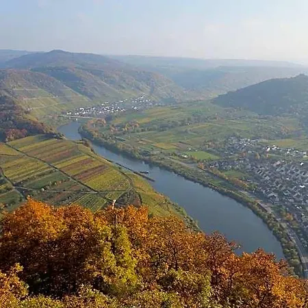 Weinhaus Berg 酒店 布雷姆