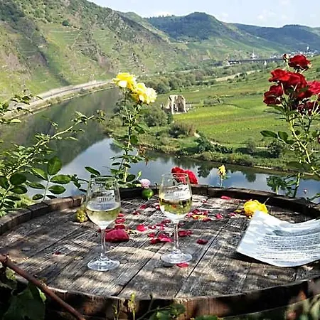 酒店 Weinhaus Berg 布雷姆