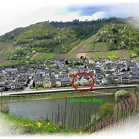 酒店 Weinhaus Berg 3*