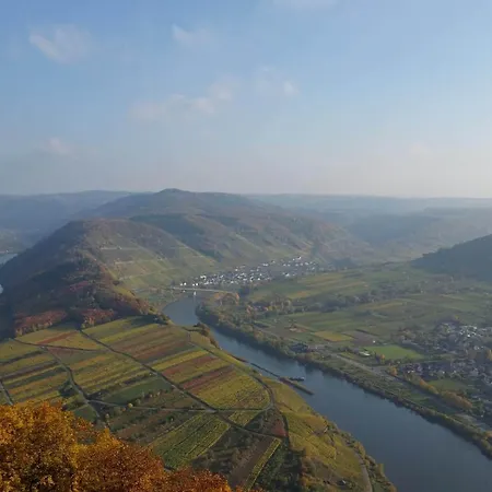 호텔 Weinhaus Berg