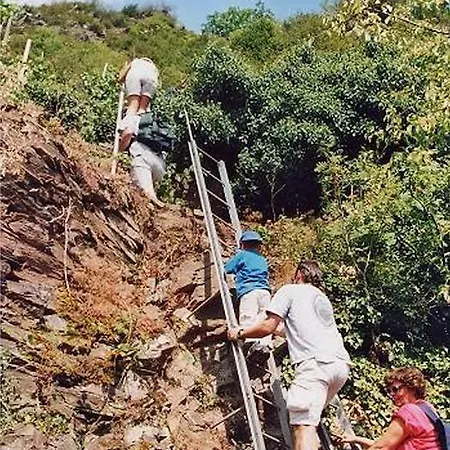 Weinhaus Berg Otel Bremm