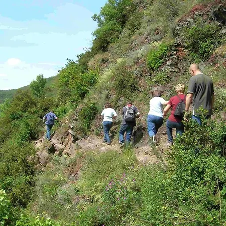 酒店 Weinhaus Berg 布雷姆