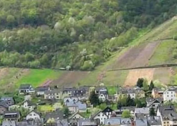 Hotel Weinhaus Berg 3*