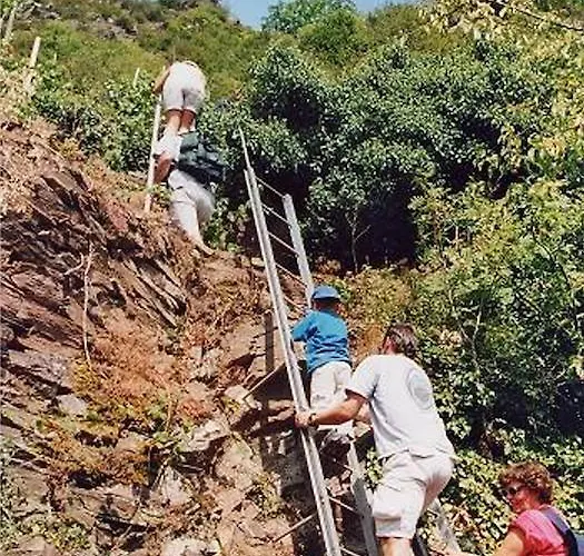 Weinhaus Berg Hotel Bremm
