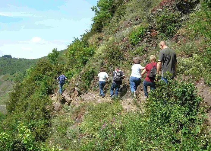 Hotel Weinhaus Berg Bremm